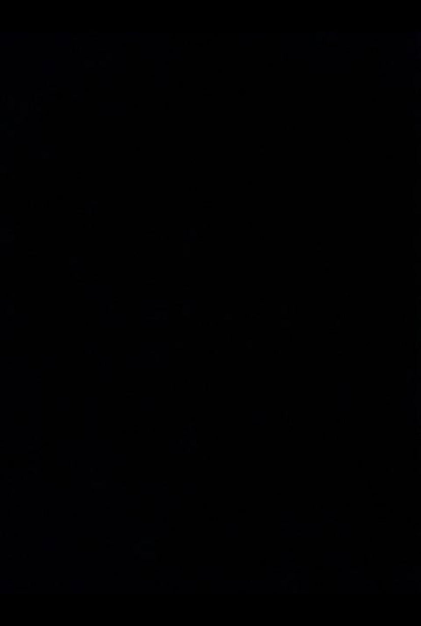 Plov anker rustfri stål